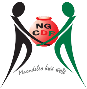 NGCDF Nyatike Constituency